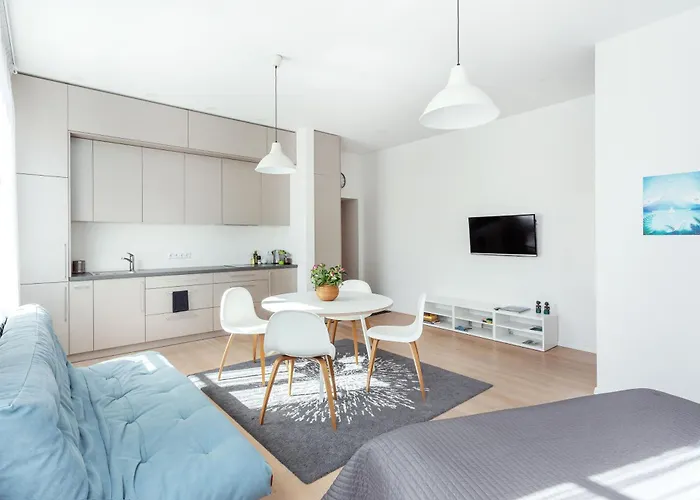 Spacious Cozy Studio, 3a ヴィリニュス