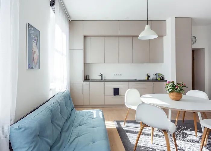 Spacious Cozy Studio, 3a * ヴィリニュス