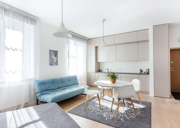 Spacious Cozy Studio, 3a Apartment