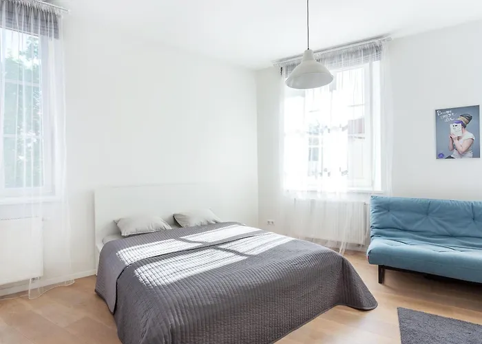 Spacious Cozy Studio, 3a Apartment *