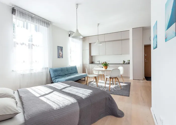 Apartment Spacious Cozy Studio, 3a