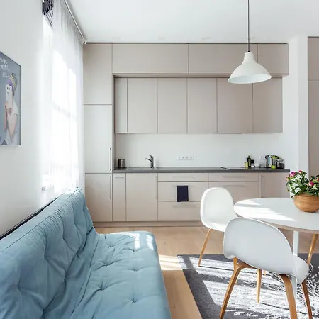 Spacious Cozy Studio, 3a * Vilnius