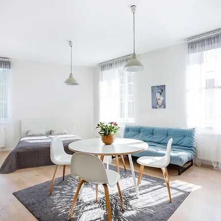 Appartement Spacious Cozy Studio, 3a Vilnius