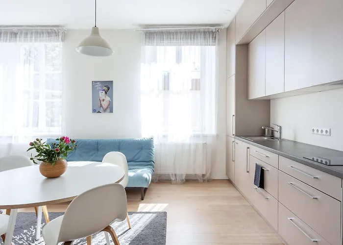 Spacious Cozy Studio, 3a Apartamento Vilnius