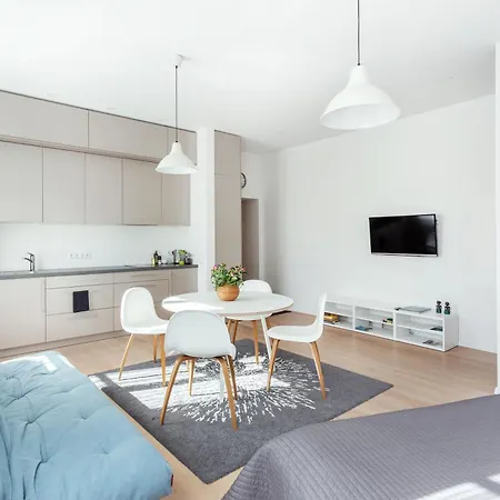 Spacious Cozy Studio, 3a Вильнюс