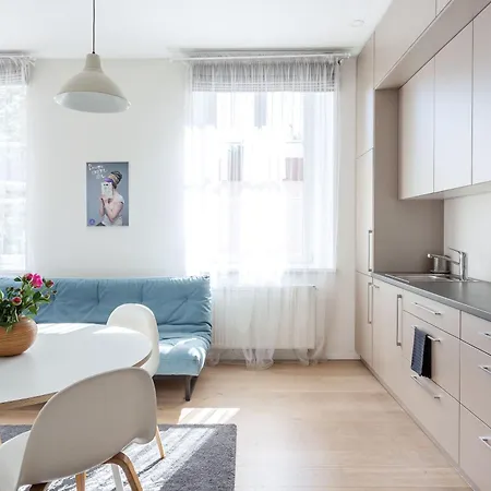 Spacious Cozy Studio, 3a Апартаменты Вильнюс