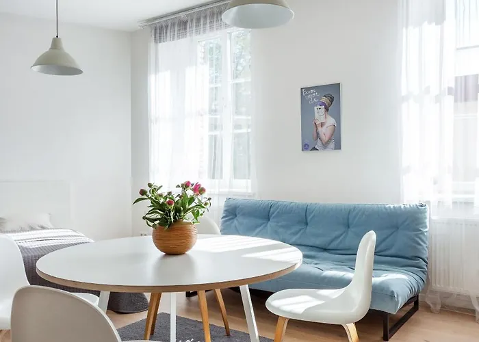 Spacious Cozy Studio, 3a 빌뉴스