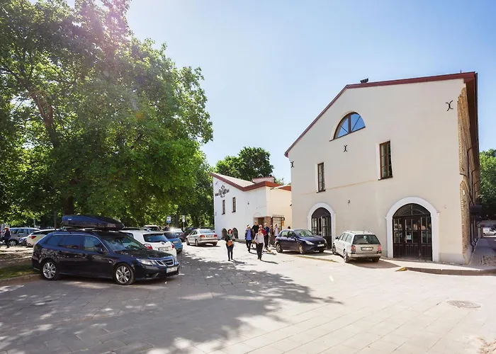 Spacious Cozy Studio, 3a 빌뉴스